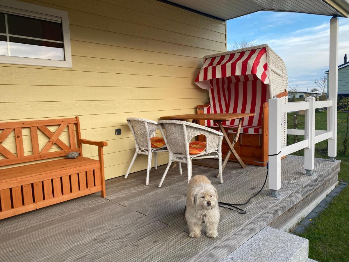 Ostermade Klintdoerp 110 Hotel Michaelsdorf  Kültér fotó